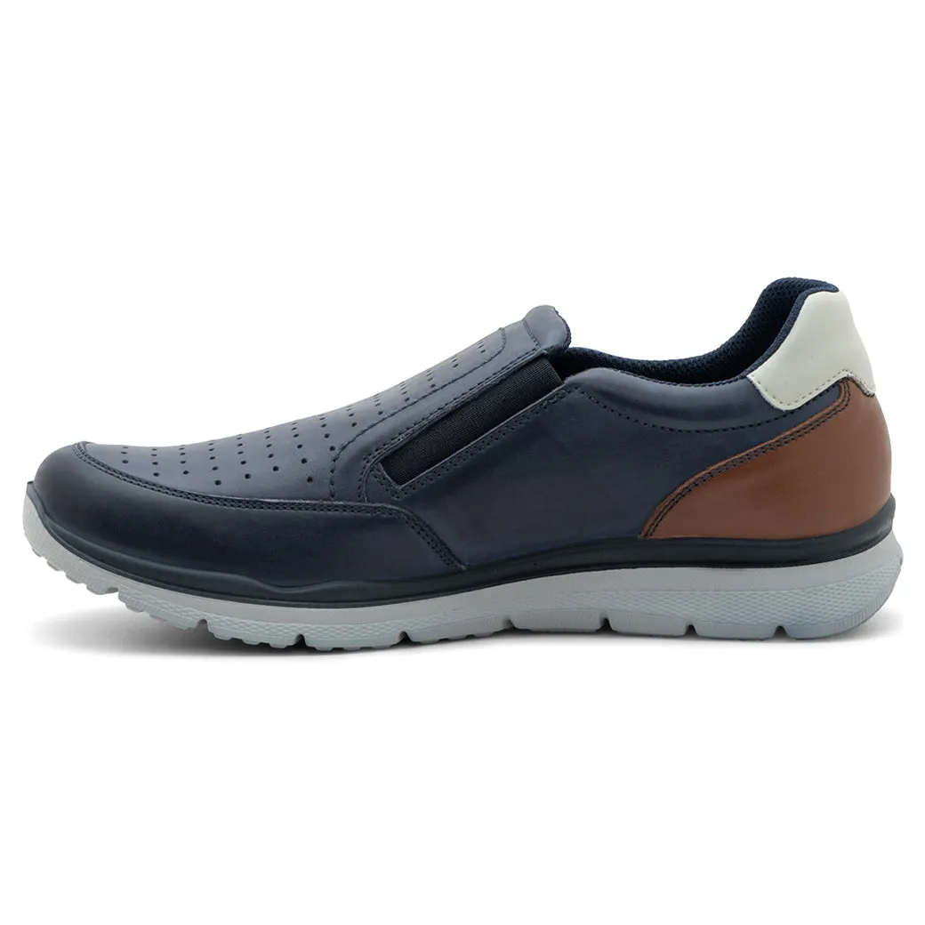Mens Ara Belton in Blue/Brown/White